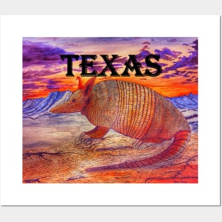 Texas armadillo Posters and Art